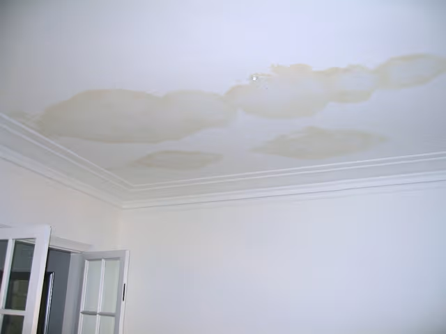 leaking roof